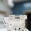 송담 M플란트치과의원 | 안중치과 송담M플란트치과의원 안중 치과가 부담스러워서 못 가시는 분?