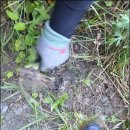 질경이농장 이미지