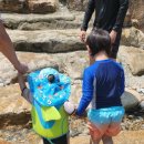 월광가든 이미지