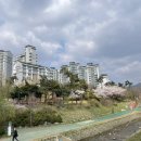 청계마을604동 옆 | 임장후기 | 의왕 야탑 동탄 수지 경기남부 가볍게 돌아보기