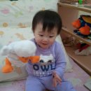 다온오리 이미지