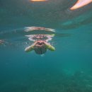 어울림세탁소 | eTravel 등록, 막탄 에어비엔비 뉴타운 8블러바드, 세친구 프라이빗 호핑투어, CRACKIN CRAB 식당 후기