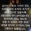 돌고개역 | 광주 월산동 생갈비맛집, 특수부위 꼬들살 맛집 [돌고개역 뒷집] 방문후기