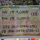 새터농장 | 공주 산딸기체험