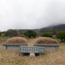 양대 정부의 비서실장 선영 이미지