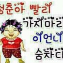 (주)지평