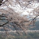 청풍명월 이미지