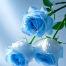 Nana Mouskouri - Even Now/Leo Rojas - Only One Night/Post Malone - Congratu 이미지