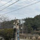 함양 현지인맛집추천 &lt;바래기암소한마리&gt; 내돈내산 솔직후기