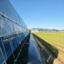 거성농장 이미지