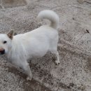 진도농장 이미지