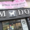 아임독 애견샵 이미지