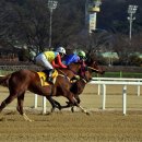 경마공원 이미지