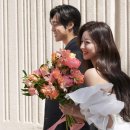 푸릇푸릇스튜디오
