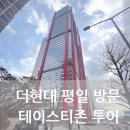 테이스티뮤지엄 이미지