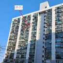 강서구-47 이미지