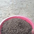 국대농장 이미지