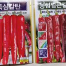 온뜨레농장 이미지