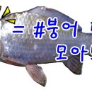 터골옆 이미지