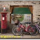 야콘부부농장 이미지