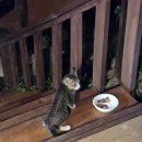 첼레스떼펜션 이미지