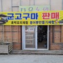 조은다육농원 군고구마판매 붕어빵체험 호박요리체험 이미지