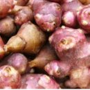 당뇨에 좋은 돼지감자의 효능, 돼지감자 먹는법, 돼지감자 부작용 이미지