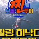 찐투어 - 중구 남대문로 117 | 찐투어