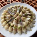 헤밍웨이 | 통영 헤밍웨이 좌대 출조 후기