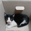 덕천로 234번길 이미지