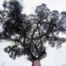 덕문중학교 이미지