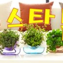 뉴스타몰