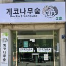 수곡로67번길(2-161) | 청주파충류샵 게코나무숲 청주도마뱀분양 후기
