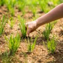 손해평가사 1차 - 상법 보험편 이미지