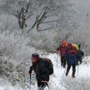 등산의 좋은 점과 물 2리터 마시기 이미지