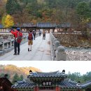 241024 설악산 4 암자 순례길 이미지