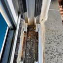 덕수리1460 이미지