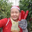 목섬농장 이미지