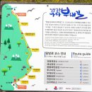 안인23