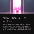 돼지복단지 이미지