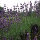 유익농장 이미지