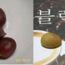 커피씨 - 강남구 논현로16길 30 | 커피씨