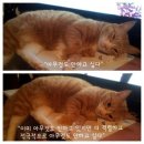 흠 이미지