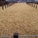 광주시청 이미지