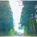 행복카랜드 이미지