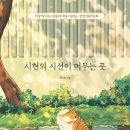 시선이 머무는 곳 이미지