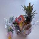 키드랜드어린이집 이미지