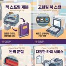 퍼플비