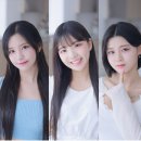 주식회사 배드엔터테인먼트 이미지