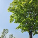 군자동새마을작은도서관 이미지